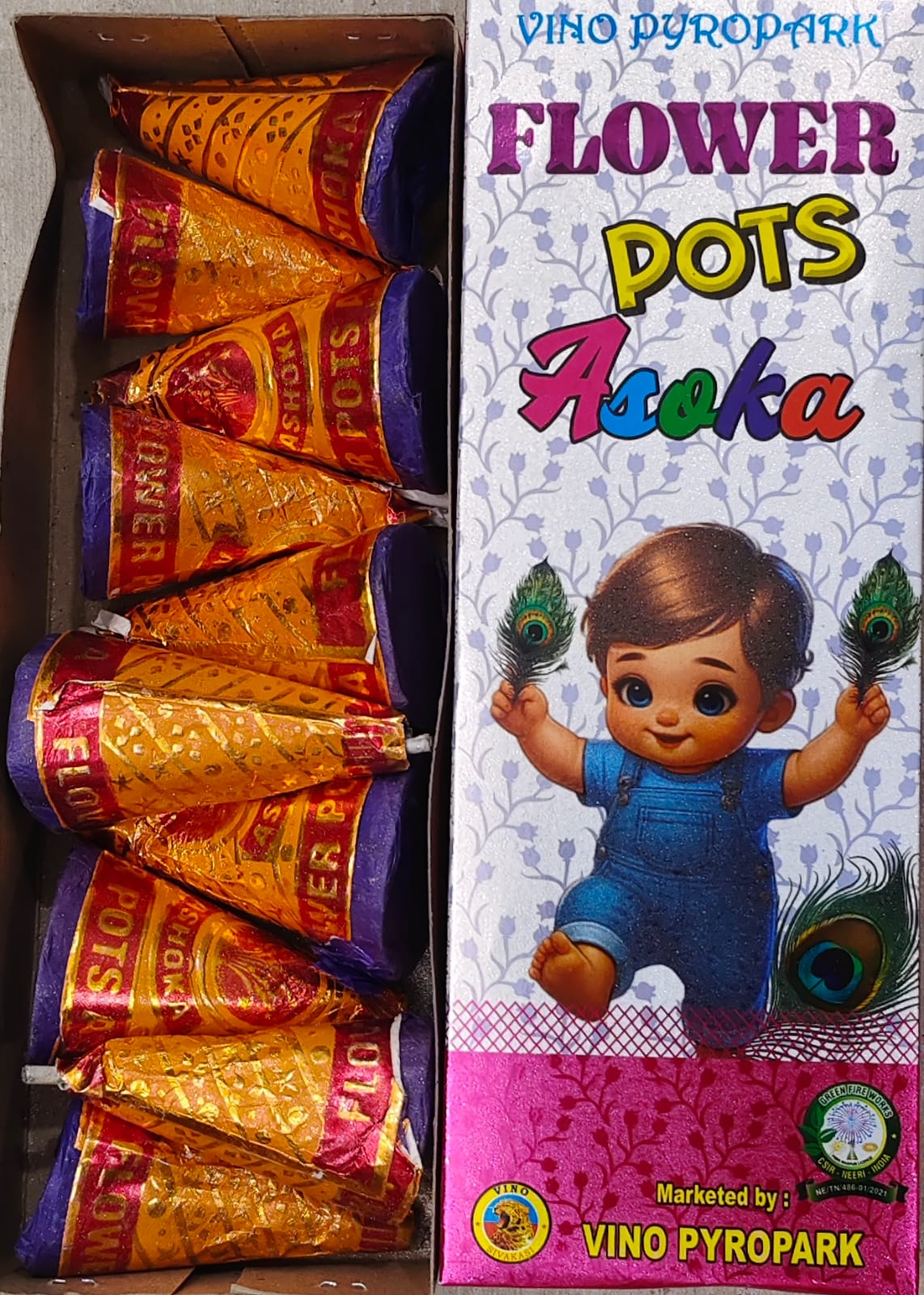 FLOWERPOTS ASHOKA